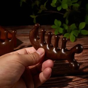 Therapy Massage Comb – Gua Sha Tool for Scalp, Face & Body