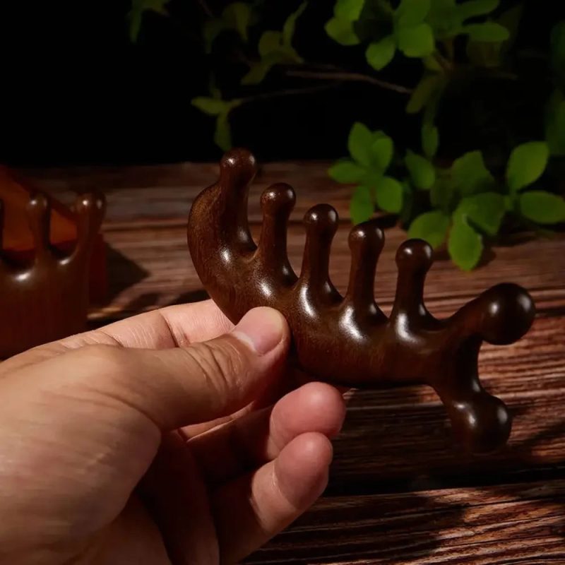 Therapy Massage Comb – Gua Sha Tool for Scalp, Face & Body