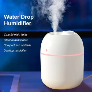 Portable 220ml Mini Mist Humidifier – H2O Spray Cup with Aroma Diffuser & USB Power