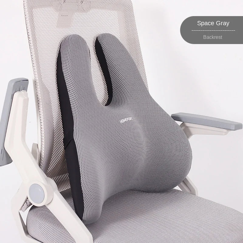 Orthopedic Memory Foam Cushion Set – Coccyx & Lumbar Support - Image 7